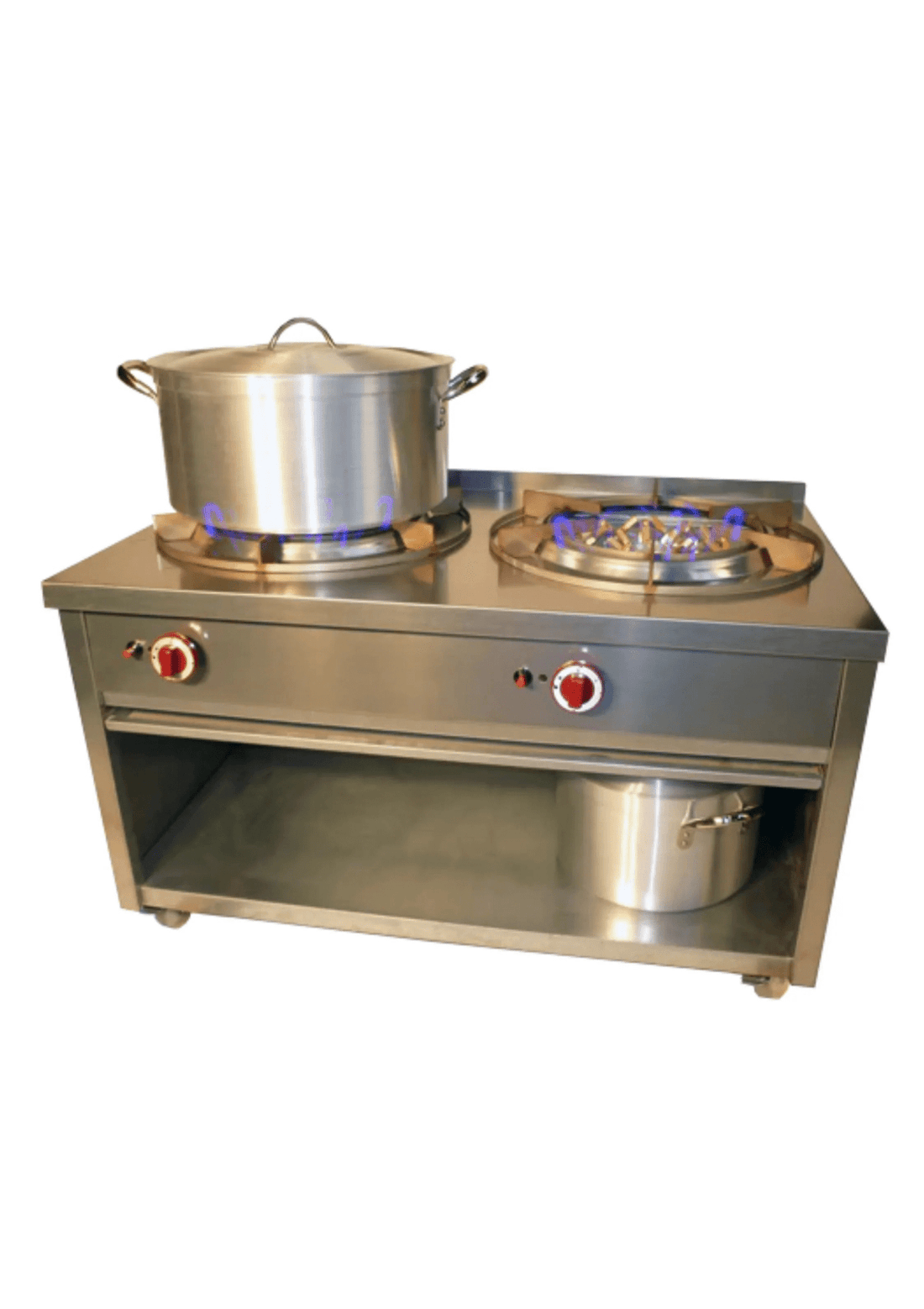 Cuisinière Professionnel Indienne - SHAAN
